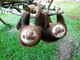 How it all hangs&nbsp;together