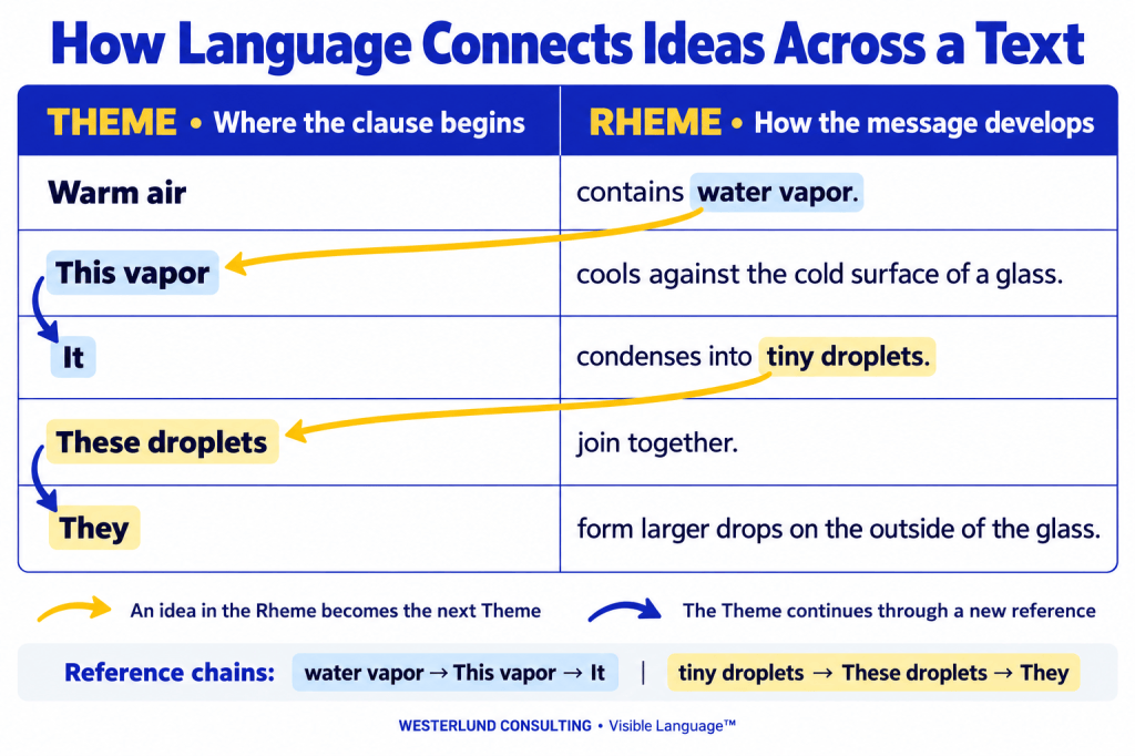 A Theme–Rheme table shows five sentences about condensation. Yellow arrows connect “water vapor” to “This vapor” and “tiny droplets” to “These droplets,” showing ideas moving from Rheme to the next Theme. Blue arrows connect “This vapor” to “It” and “These droplets” to “They,” showing continuity through pronoun references. Matching blue and yellow highlights identify the two reference chains.